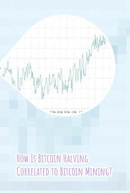 25 bitcoins