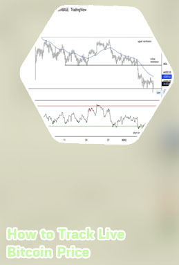 Bitcoin price usd live