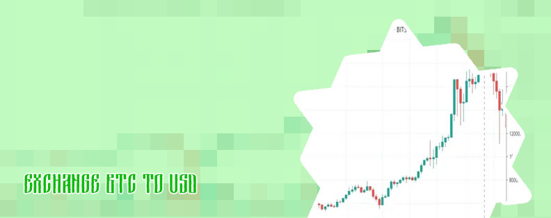 Bitcoin usd price
