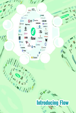 Flow crypto
