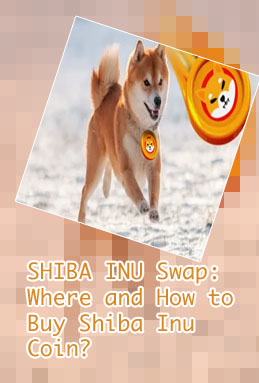 How to buy shiba inu crypto