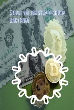 Should you invest in dogecoin