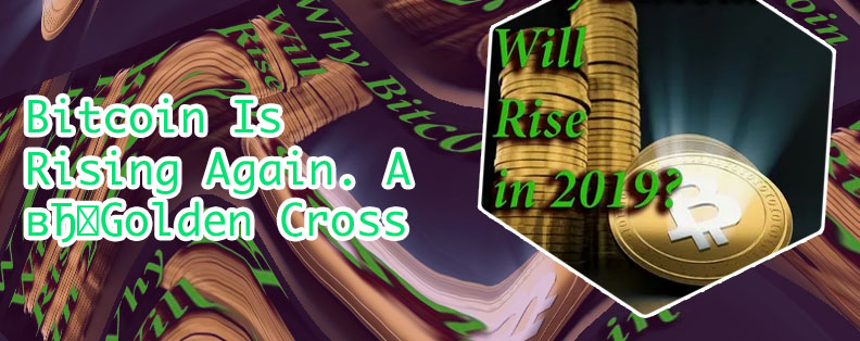 Will bitcoin rise again